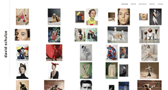Desktop Screenshot of davidschulze.com